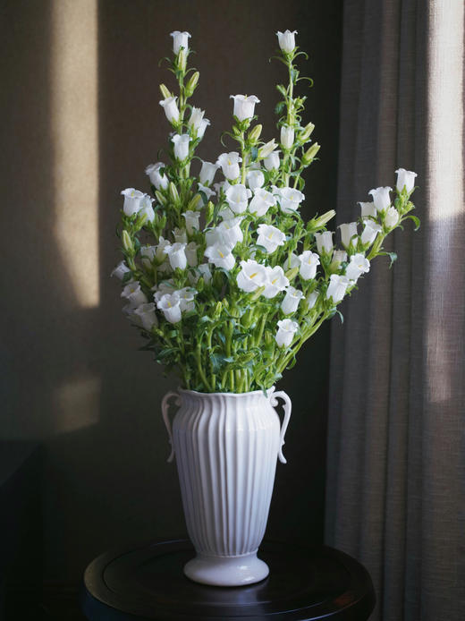 【周四团购】风铃一把39.8元 2人拼团 商品图0