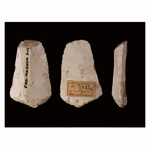 中国皮草工艺 皮草服装制作工艺 皮草服装设计及处理技巧 皮草服装工业制版打板纸样设计入门 皮草加工制造 皮草展示陈列设计 商品图2