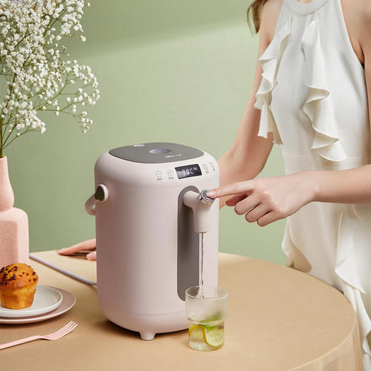 【小熊Bear】烧水壶电水壶热水壶恒温水壶电热水瓶电热防烫除氯304不锈钢3L大容量多段保温ZDH-H30B1 商品图2