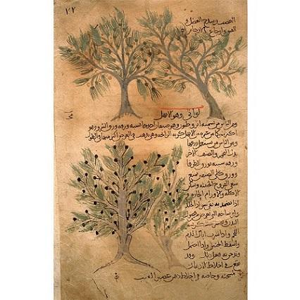 2020新书 金酒 经典鸡尾酒酿造酿制工艺技术教程书籍 金酒生产方法蒸馏器 金酒生产加工制备工艺流程大全书籍 配方设计大全调制作 商品图2