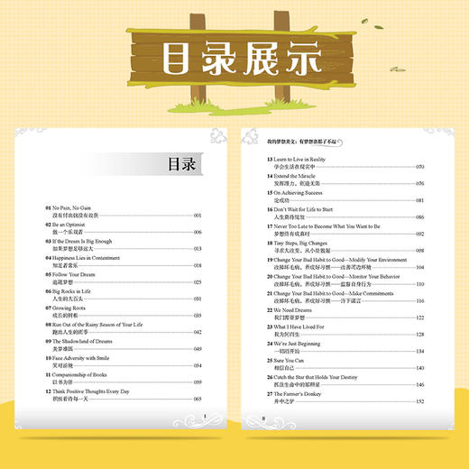 我的梦想美文有梦想了不起英文美文演讲 英汉互译英语阅读书籍中英文对照 英汉双语读物 英语课外书励志双语故事 商品图4