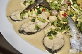 【肥嫩鲜润】 宁波鰆鯃/川乌鱼 当日鲜捕 优中选优 冰鲜到家