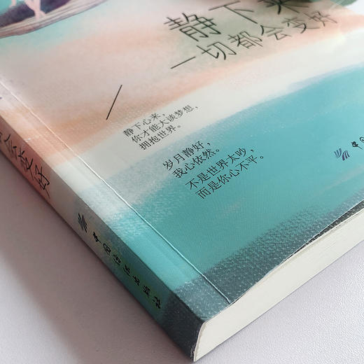 静下来，一切都会变好 心灵与修养书籍 心灵鸡汤青春文学小说书籍畅销书 控制情绪管理调整心态的书 做心平气和的自己 商品图3