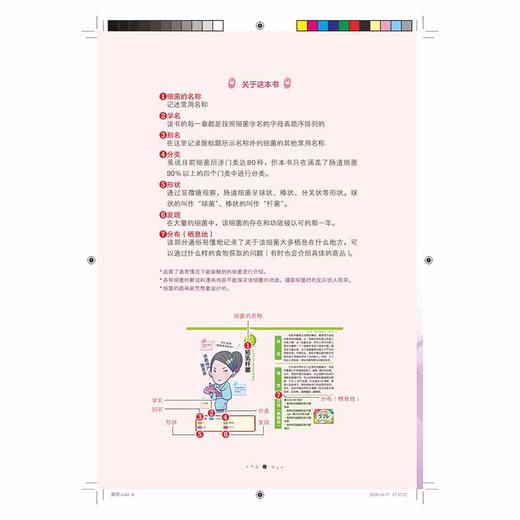 2019新书 菌语 你好 肠道里的伙伴 藤田紘一郎 人体肠道内有益菌病原性细菌大肠菌科普书 身体肠道科普书籍 肠道菌群环境调整书 商品图3