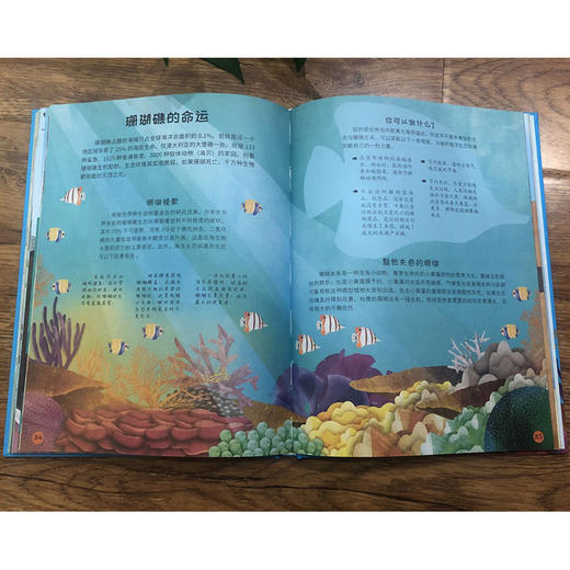 2020新书 地球小卫士 给孩子的第一本环保百科书 降解食物减少水资源浪费回收衣服帮助野生动植物 儿童环保意识培养好习惯养成书籍 商品图2