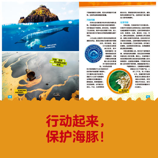 美国国家地理 海豚（超级专家系列）海洋哺乳动物百科全书 3-6-8岁少儿探秘海底动物世界大百科 青少年儿童科普书籍 商品图4