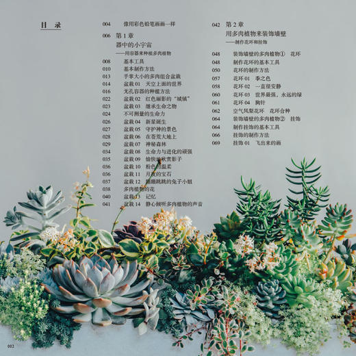 拥有多肉植物的生活 日本季色著 张琳译 多肉图鉴大全养花养殖教程方法多肉种植方法跟搭配生活的生活休闲图书 家庭园艺书籍 商品图1
