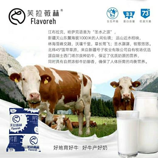 【百】新疆芙拉薇赫纯全脂纯牛奶200ml/袋*16 商品图1