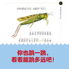 正版书籍 美国国家地理经典小百科：全6册吉妮约翰逊德西德里欧桑吉蝴蝶蜜蜂蚂蚱蚂蚁蜻蜓蜘蛛六位主角形象生动让孩子3~6岁参考 商品缩略图3