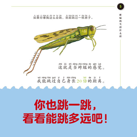 正版书籍 美国国家地理经典小百科：全6册吉妮约翰逊德西德里欧桑吉蝴蝶蜜蜂蚂蚱蚂蚁蜻蜓蜘蛛六位主角形象生动让孩子3~6岁参考 商品图3