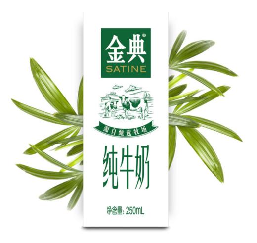 【暂不用】伊利金典纯牛奶 250ml*12瓶/提（新日期）【BC】【KW】 商品图2