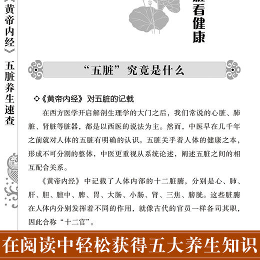 《黄帝内经》五脏养生速查 黄帝内经全集正版 皇帝内经 中医书籍 基础理论养生大白话版素问入门图解全注全译养生原文注解 商品图1