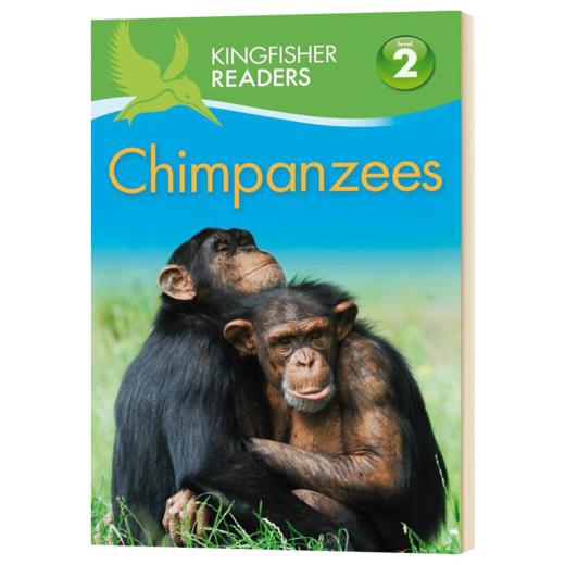 翠鸟分级阅读2级 黑猩猩 英文版 Kingfisher Readers L2 Chimpanzees STEM课外教辅读物 英文版儿童英语科普百科 进口原版书籍 商品图0