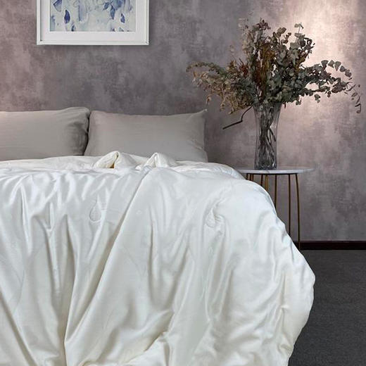 京彩蚕丝被（花伊） 商品图2