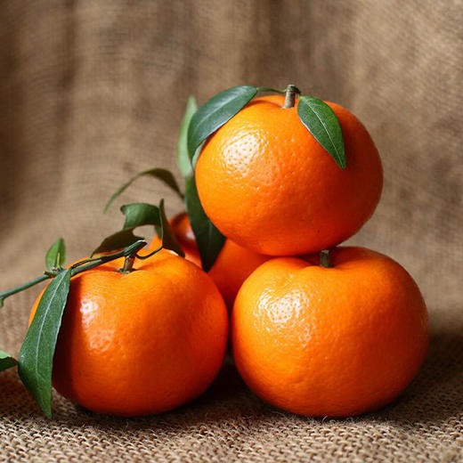 云南哀牢山茂谷柑-5斤装 商品图1