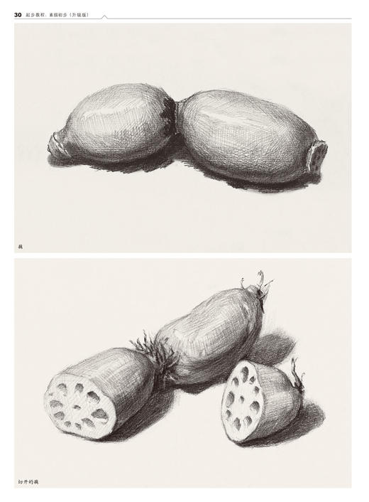 起步教程（升级版）（素描初步） 素描书入门自学零基础 素描基础教程 初学者临摹静物 石膏几何体 速写人物头像入门教材 商品图3