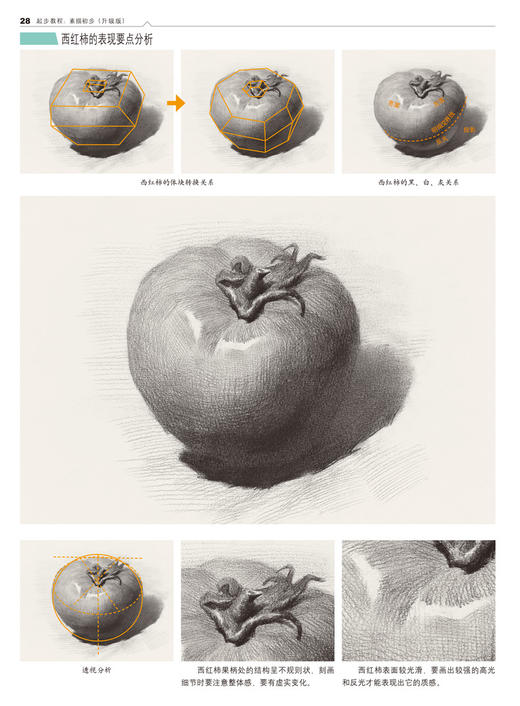 起步教程（升级版）（素描初步） 素描书入门自学零基础 素描基础教程 初学者临摹静物 石膏几何体 速写人物头像入门教材 商品图2