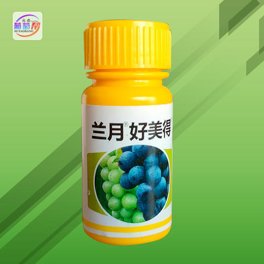 蘭月福美特美好得01氯吡脲10ml11葡萄膨果保果