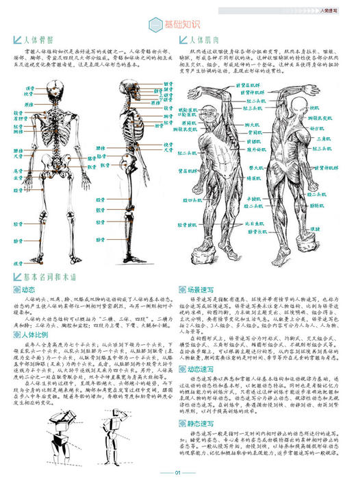 正版2016央美有约基础教材人物速写张承国线性人物场景大师速写站蹲坐三姿临摹写生高艺考联考美术书 商品图2