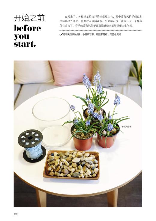 韩式居家花艺 吕多芸 白祥铉 花艺设计书籍 简单花艺装饰品制作技法 打造韩风家居氛围 家居花艺设计 家居装饰方法技巧 插花入门书 商品图3