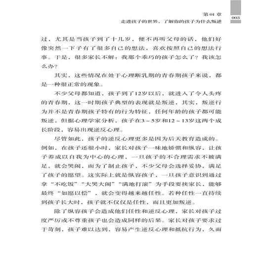 叛逆不是孩子的错:不打不骂不动气的教育法 解析叛逆孩子的行为问题 理解叛逆期孩子心理特点 为父母提供科学的教育方法 商品图4