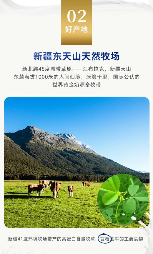 【百】新疆芙拉薇赫纯全脂纯牛奶200ml/袋*16 商品图2