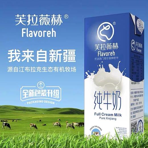 【百】新疆芙拉薇赫纯全脂纯牛奶200ml*16盒（保质期180天） 商品图3