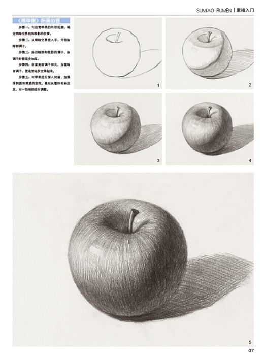 YS起跑线 素描入门（名师作画，素描入门辅导书；素描静物基础知识、单体训练及作画步骤详细，方便临摹并掌握实用绘画技法） 商品图2