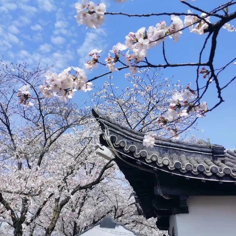 【聚会专享】无锡 | 无锡拈花湾拈花客栈禅意村舍聚会套餐，399起/单人2晚，2人起订，住宿景区内五星客栈，额外送拈花湾景区门票~