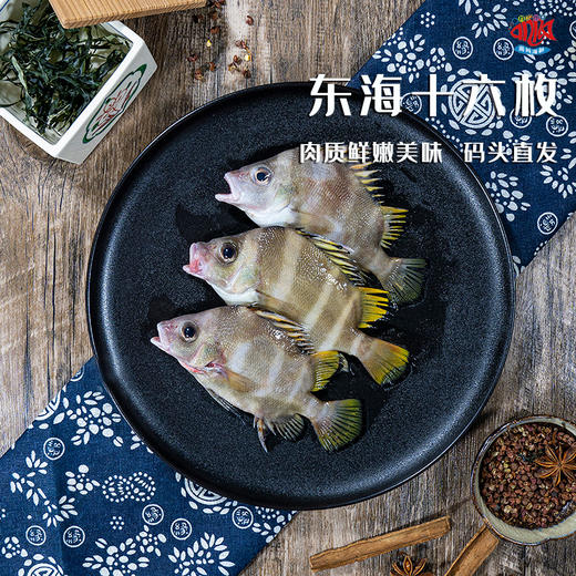 【闹妈海鲜】热气舟山东海十六枚 2条350g左右/组
 商品图0