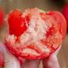 海阳【普罗旺斯西红柿】儿时味道，沙瓤超多，酸甜可口！ 商品缩略图1