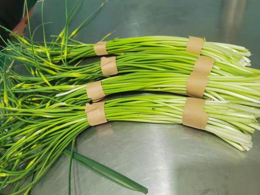 蒜苔（蒜苗）250g 商品图4
