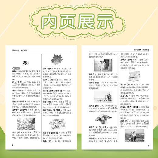 图解新日本语能力考试N3-N5词汇日语单词N3/N4/N5日语词汇大全日语词汇文法语法日语入门 商品图3
