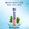 狮王White&White特效美白牙膏150g增亮美白 原产国：日本 商品缩略图0