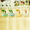 【为思礼合集】生态绿植 DIY办公室桌面绿植 创艺生活植栽 商品缩略图12