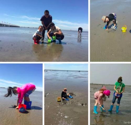 【清明五一】亲子自驾曹妃甸挖蛤蜊\出海打渔\品河豚大餐\住零差评酒店\自驾跟团|5~12岁亲子 商品图1