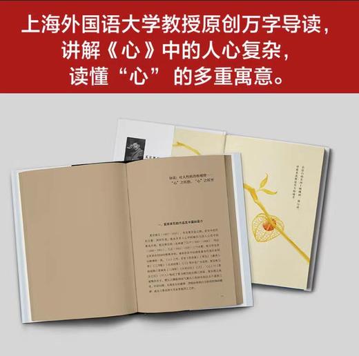 《心》（你心里想说又说不出的脆弱，只有《心》能理解！） 商品图3