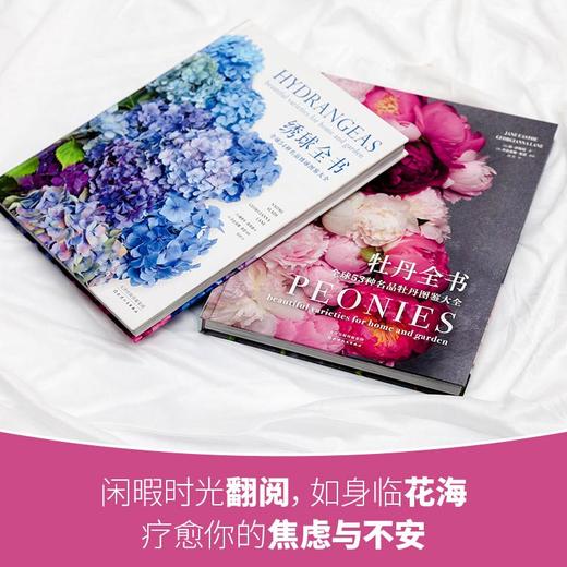 绣球全书 全球54种名品绣球图鉴大全 商品图1