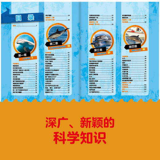 美国国家地理 海豚（超级专家系列）海洋哺乳动物百科全书 3-6-8岁少儿探秘海底动物世界大百科 青少年儿童科普书籍 商品图2