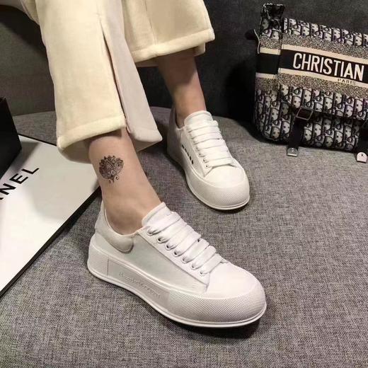 宠物摄影 商品图1