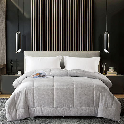 博洋家纺 云丝大豆蛋白被 200*230cm 商品图2