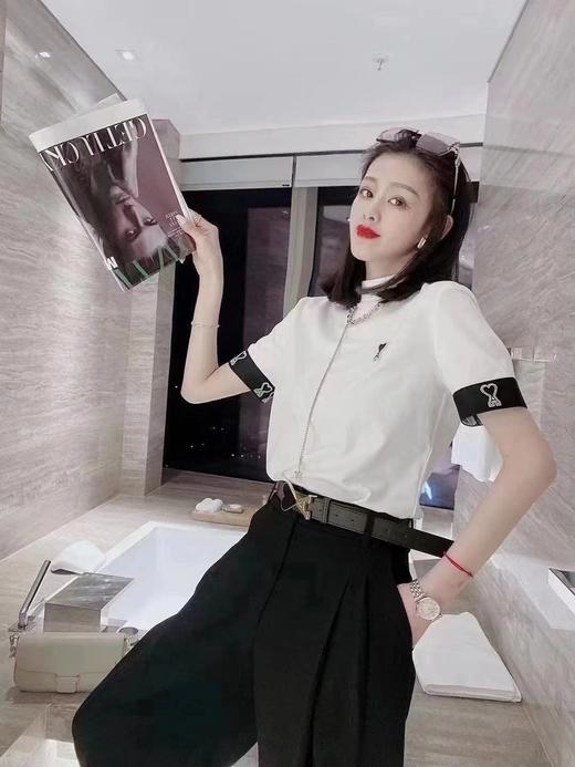 宠物摄影 商品图2