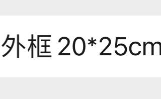 华政摆件（韬奋楼手工雕刻） 商品图2