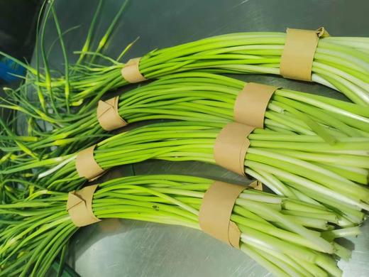 蒜苔（蒜苗）250g 商品图2