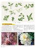 水粉花卉基础 入门 水粉画 零基础素描教程书籍 水粉画画花卉基础教材学美术的书适合成人中小学生水粉入门 商品缩略图2