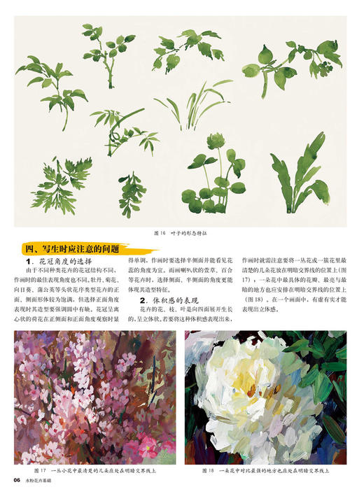 水粉花卉基础 入门 水粉画 零基础素描教程书籍 水粉画画花卉基础教材学美术的书适合成人中小学生水粉入门 商品图2