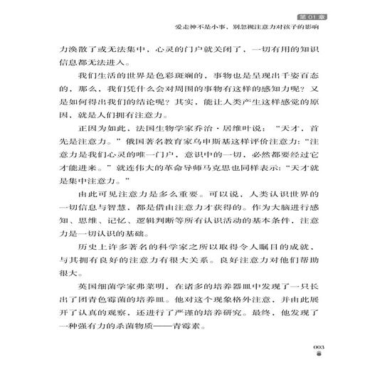 2020新书 提升孩子注意力的实用妙招 如何改善孩子中小学生儿童注意力训练方法游戏技巧大全书籍 家庭教育方法正面管管教书籍 商品图4