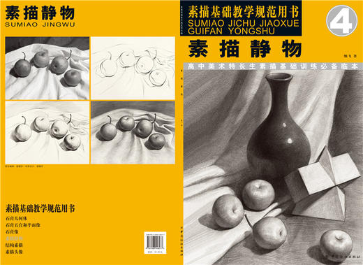 素描静物4/素描基础教学规范用书素描静物组合临摹书籍美术基础技法结构到位绘画册照片风暴高艺联考主导 商品图1