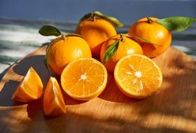 云南金沙江河谷有机沃柑 5斤装 现摘现发(拍下预计3左右到货）