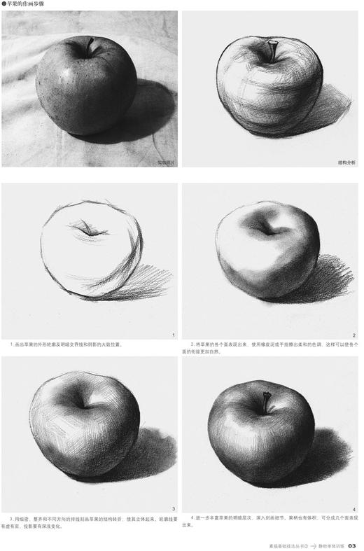 静物单体训练 素描基础技法丛书2之一 零基础初学者解剖与透视训练入门组合绘画大关系透视美术基础技法单个体 商品图3
